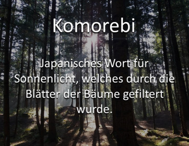 Preview: Spruchstein Komorebi Preview: Komorebi Kieselstein